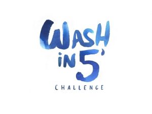 Wash-in-5-challenge-portfolio